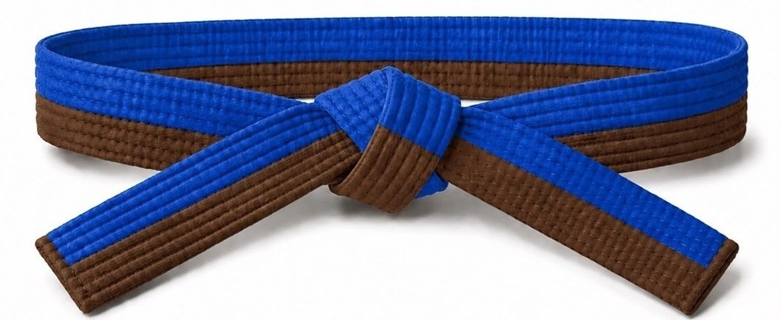 2nd Nikyu (blue/Bruyn)