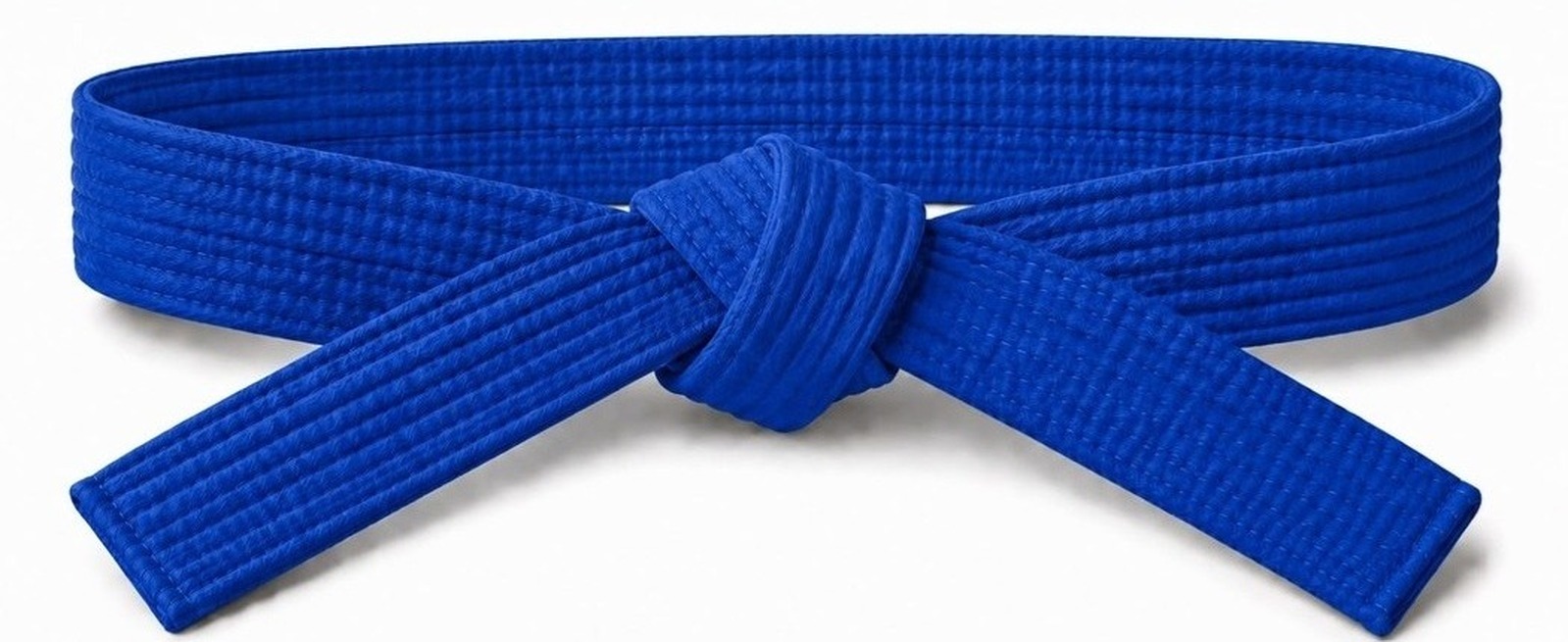 3rd Sankyu (blue belt)