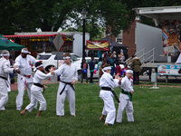 2017 DOVER DAYS DEMO