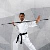 Two-Piece Bo Staff Photo 3