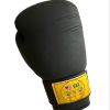 Annapolis Boxing Maryland - BOXING GLOVES 16oz Photo 1