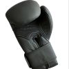 Annapolis Boxing Maryland - BOXING GLOVES 16oz Photo 2