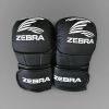 Zebra MMA Sparring Gloves Photo 1