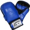 Gracie Sparring Gloves (Synthetic 5.5oz) Photo 1