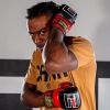 HMIT MMA Training Gloves Photo 19