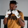 HMIT MMA Training Gloves Photo 9