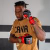 HMIT MMA Training Gloves Photo 20