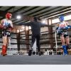 USA Muay Thai Shorts Photo 8