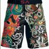 Summer Fight Shorts Photo 1